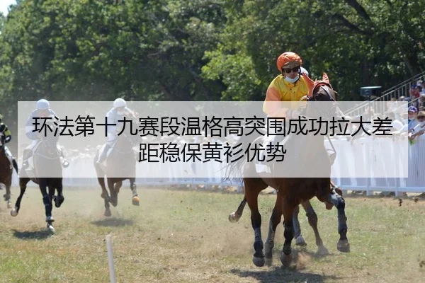 环法第十九赛段温格高突围成功拉大差距稳保黄衫优势